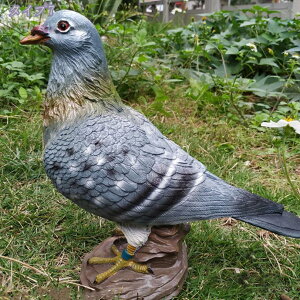 1000�~OFF�N�[�|�� �K�[�f���I�[�i�����g �� �I�[�i�����g �K�[�f���u�� ���̒u�� �K�[�f�j���O �I�u�W�F ���̃I�u�W�F �C���e���A ���蕨 �G�� ���̒u�� ���� �ϋv�� �� �Ő� ���O ���� �K�i 