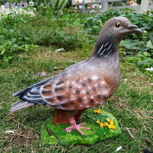 1000~OFFN[| K[fI[ig  I[ig K[fu ̒u K[fjO IuWF ̃IuWF CeA 蕨 G ̒u  ϋv  Ő O  Ki 