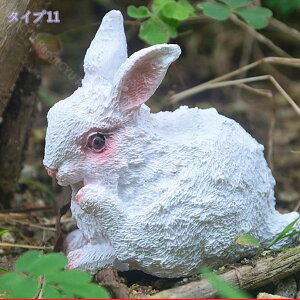 }XRbg e u CeA IuWF Aj}  ~j rbg K[fjO fBXvC  킢 G  I[ig  fXN a v[g MtgΉ 