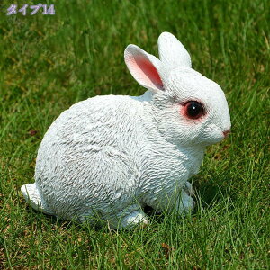 A K[fI[ig /IuWF/u 蕨 G{ 킢  rbg   CeAG p[eB[ObY av[g    Ce