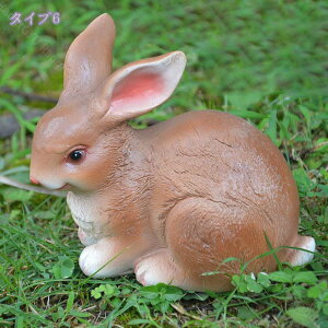 300~OFFN[| A K[fI[ig /IuWF/u 蕨 G{ 킢  rbg   CeAG p[eB[ObY av[g   