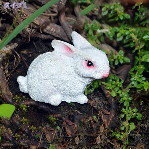 777~OFFN[| A K[fI[ig /IuWF/u 蕨 G{ 킢  rbg   CeAG p[eB[ObY av[g   