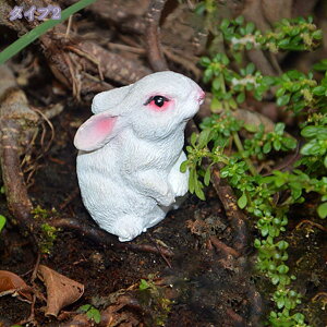 777~OFFN[| A K[fI[ig /IuWF/u 蕨 G{ 킢  rbg   CeAG p[eB[ObY av[g   