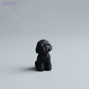 300~OFFN[| 킢 u  J[ANZT[ CeA  A uEIuWF D 킢   蕨 CeA u IuWF i  