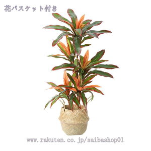 tFCNO[  ^ϗtA i` N₩ȐF ׍HJ lHϗtA q Q x_  ze tFCNO[ CeA b炸  s