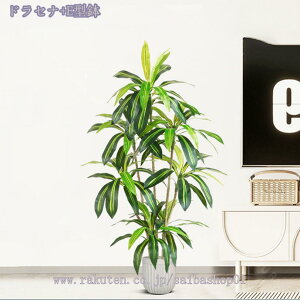 2000~OFFN[| lHϗtA { tFCNO[ ^ lHA ϗt CeAO[  ItBX  ȒP   ƒ 悯oRj[ Iȑ 