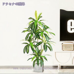 lHϗtA tFCNO[ ^ ϗtA tFCN A  CeA Lb` rO _CjO Q  킢 sv lHϗtA lH ~͐A lHϗt