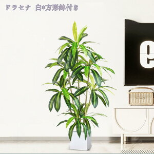 1000~OFFN[| lHϗtA { tFCNO[ ^ lHA ϗt CeAO[  ItBX  ȒP   ƒ 悯oRj[ Iȑ 