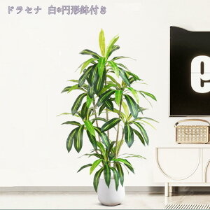 1000~OFFN[| lHA lH CeA ϗtA tFCNO[ ^ lHϗt rO p ItBX tFCNϗtA t j v[g Mtg JXj zj 