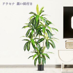 1000~OFFN[| lHA lH CeA ϗtA tFCNO[ ^ lHϗt rO p ItBX tFCNϗtA t j v[g Mtg JXj zj 