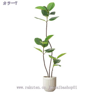 lH lHA  lHϗtA tFCNO[ ^ CeA O tFCNA sv ͂Ȃ ~͐A Vzj ̓ ̓ Mtg Ղ 蕨 A rO