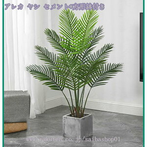 Xe lHϗtA tFCNO[ ^ϗt A lH  CeA  O 傫 ][g ze j x gsJA sv ͂Ȃ  