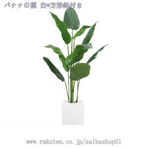 1000~OFFN[| tFCNO[ { 傫 lHϗtA tFCN lHϗA lHϗt Vv A    sv CeA  rO  J