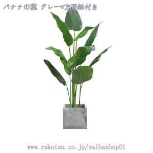 1000~OFFN[| tFCNO[ { 傫 lHϗtA tFCN lHϗA lHϗt Vv A    sv CeA  rO  J