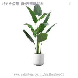 1000~OFFN[| tFCNO[ 傫 ϗtA A R lHϗtA tFCNc[ ȒPb炸 sv ItBX z[ fR[V sv bsv Vzj