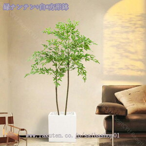 2000~OFFN[| lHϗtA ډB CeA  O tFCN tFCNO[ ^ tFCNA ~͐A ͂Ȃ ~͐A ϗtA lHϗtA _ A rO[