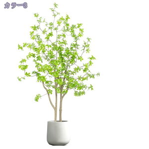 2000~OFFN[| lHϗtA A lH ϗtA tFCNO[ ͂Ȃ lHϗtA lHϗtA tFCNO[ ^  CeA rO ItBX  ƒ 