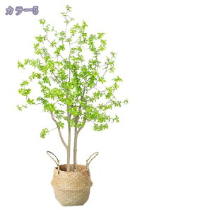 2000~OFFN[| lHϗtA A lH ϗtA tFCNO[ ͂Ȃ lHϗtA lHϗtA tFCNO[ ^  CeA rO ItBX  ƒ 