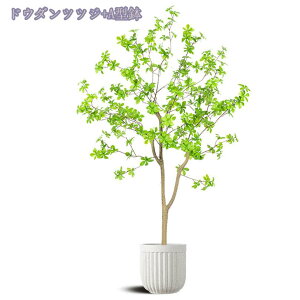 1000~OFFN[| tFCNO[ { 傫 lHϗtA tFCN lHϗA lHϗt Vv A    sv CeA  rO  J