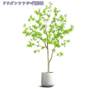 lHϗtA ^ tFCNO[ { AȎ} Rȗt ډB i` V X GgX c ItBX  ƒ  O Iȑ z̃Mt