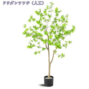 1000~OFFN[| lHϗtA ^ tFCNO[ { AȎ} Rȗt ډB i` V X GgX c ItBX  ƒ  O Iȑ