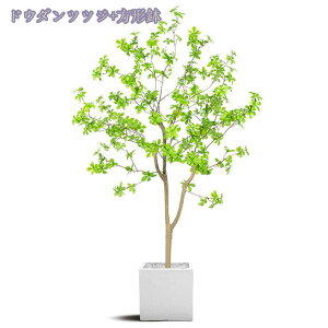 1000~OFFN[| lHϗtA ^ tFCNO[ { AȎ} Rȗt ډB i` V X GgX c ItBX  ƒ  O Iȑ