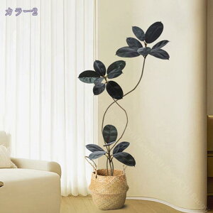 1000~OFFN[| lHϗtA 傫 { ډB tFCNO[ ^ lHA CeA lHϗtA tFCNt rO ϗtA lHϗtA j v[g Mt