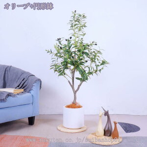 2000~OFFN[| lHϗtA  ^ i` V k AȎ} Rȗt CeA ItBX z Vzj j lH ϗtA ^ tFCNO[ Ce