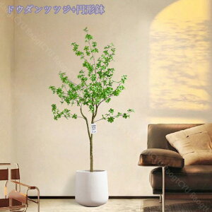 2000~OFFN[| lHϗtA 傫 { ډB tFCNO[ ^ lHA CeA lHϗtA tFCNt rO ϗtA lHϗtA j v[g Mt