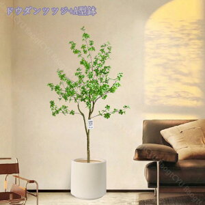 2000~OFFN[| lHϗtA 傫 { ډB tFCNO[ ^ lHA CeA lHϗtA tFCNt rO ϗtA lHϗtA j v[g Mt