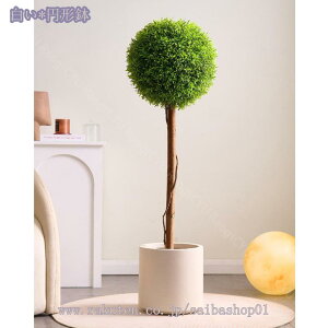 1000~OFFN[| gsA[{[ ^ϗtA tFCNO[ A  t v[g CeA lHϗtA p Bep  j tFCNO[ ϗt 