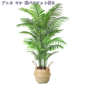 tFCNO[ ^ϗtA lHϗt  lHA CeA tFCN t lHϗtA ȒP sv QSzȂ Vv  rO  JX V