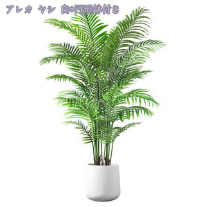 1000~OFFN[| tFCNO[ ^ϗtA lHϗt  lHA CeA tFCN t lHϗtA ȒP sv QSzȂ Vv  r