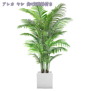 lHϗtA { tFCNO[ ^ϗt A lH  CeA  O 傫 ][g ze j x gsJA sv ͂Ȃ 