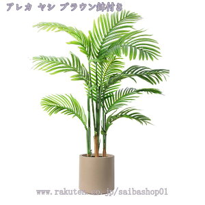 2000~OFFN[| tFCNO[ lHϗtA ^ ϗt CeA  ƒ 悯oRj[ Iȑ ȒP Vzj ̓ ̓ Ղ 傫 _ ~͐A Mtg 