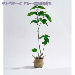 1000~OFFN[| tFCNO[ ^ lHϗtA tFCNϗt  CeA  ƒ 悯oRj[ CeAO[ lHϗtA ȒP sv Q쏜sv tF