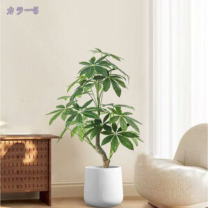 oL̖ tFCNO[ ϗA lHϗt lHϗtA tFCN  Vv ItBX   CeA ^  j ̓ ϗt sv Q̐SzȂ 