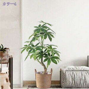 2000~OFFN[| lHϗtA tFCNO[ ^ CeA O tFCNA  sv ͂Ȃ ~͐A Vzj ̓ ̓ Mtg Ղ 蕨 A rO[