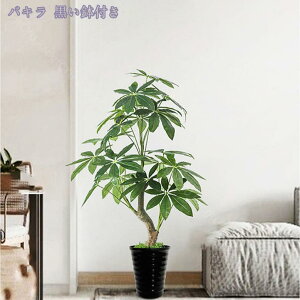 lHϗtA tFCNO[ ^ CeA O tFCNA  sv ͂Ȃ ~͐A Vzj ̓ ̓ Mtg Ղ 蕨 A rO[ ze  