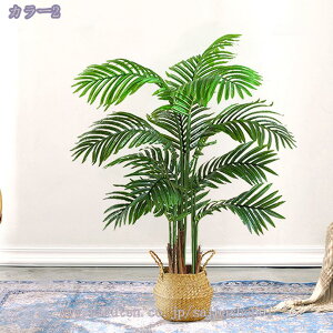 1000~OFFN[| lHϗtA tFCNO[ A lH ϗtA ͂Ȃ lHϗtA ^  CeA rO[ ze ItBX  ƒ 悯oRj[ tF