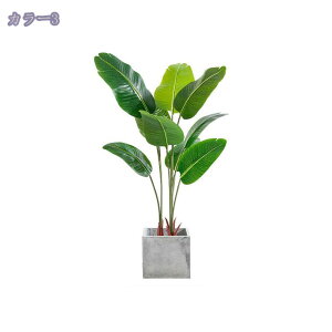 1000~OFFN[| tFCNO[ lHϗtA ^  A { tFCNO[ ϗtA lHA   rO CeA ItBX ][g Vz X