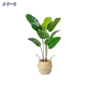 1000~OFFN[| tFCNO[ lHϗtA ^  A { tFCNO[ ϗtA lHA   rO CeA ItBX ][g Vz X