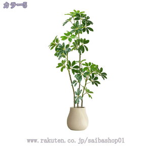 1000~OFFN[| tFCNO[ { 傫 lHϗtA tFCN lHϗA lHϗt Vv A    sv CeA  rO  J