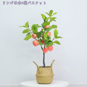 1000~OFFN[| lHϗtA ^  tFCNO[ CeA  O ze sv ͂Ȃ a v[g JXj Vzj zj lHϗtA i` t