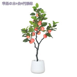 2000~OFFN[| lHϗtA ^  tFCNO[ CeA  O ze sv ͂Ȃ a v[g JXj Vzj zj lHϗtA i` t