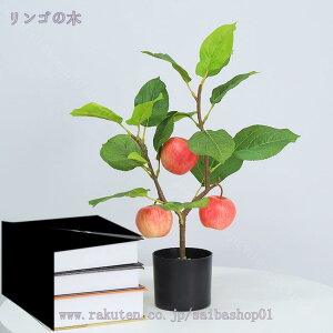 1000~OFFN[| tFCNO[ lHϗtA tFCNϗt lHϗtA ^  CeA  A  rO Vv ItBX ҍ fBXvC 䉉o  