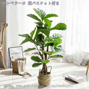 tFCNO[ ^ϗtA lHϗt  lHA CeA tFCN t lHϗtA ȒP sv QSzȂ Vv  rO  JX V