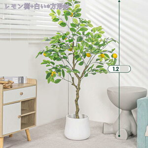 1000~OFFN[| ϗtA tFCNO[ ^ A  t v[g CeA lHϗtA p Bep  j tFCNO[ lHϗtA A ϗt