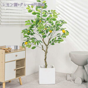 ϗtA tFCNO[ ^ A  t v[g CeA lHϗtA p Bep  j tFCNO[ lHϗtA A ϗt  rO 