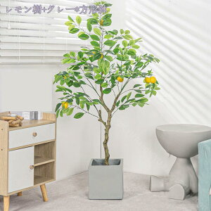 1000~OFFN[| ϗtA tFCNO[ ^ A  t v[g CeA lHϗtA p Bep  j tFCNO[ lHϗtA A ϗt